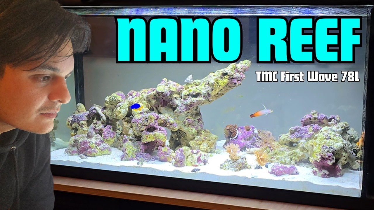 My First SALTWATER Tank | TMC First Wave 78L (Beginner Build)