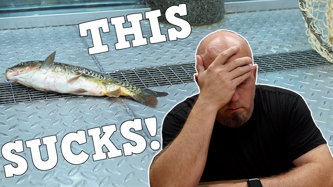 Aquariums SUCK! Here's The Top 10 Reasons Why!
