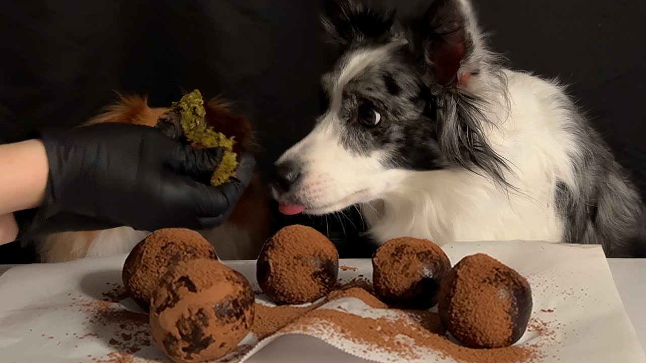 Dog Dubai chewy cookie...? (recipe & mukbang)🍪 | ASMR
