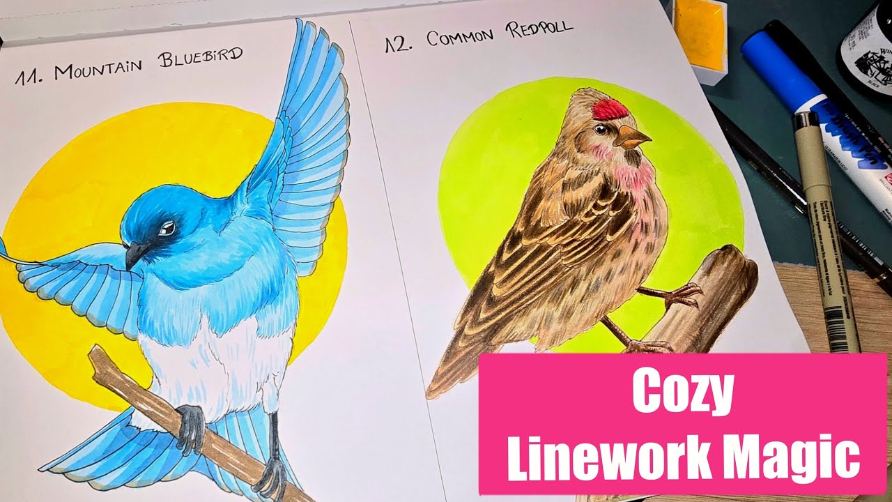 How I Draw Birds in My Sketchbook – 6 Linework Styles (Birbfest)