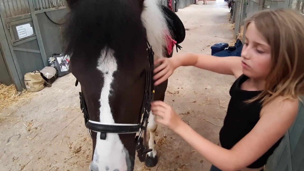 [Equitation ]Pansage  Le ROI Eden