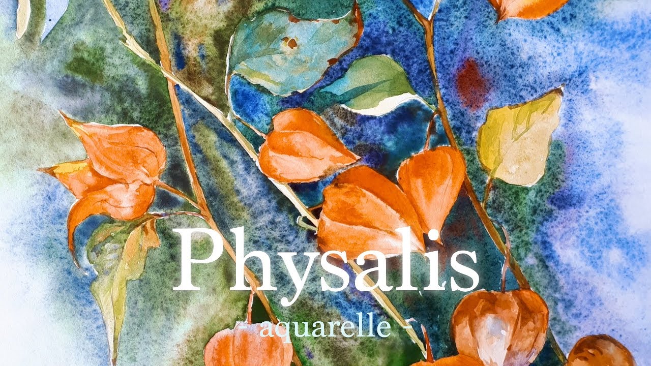 Aquarelle sur papier mouillé - le Physalis (Watercolor Paint)