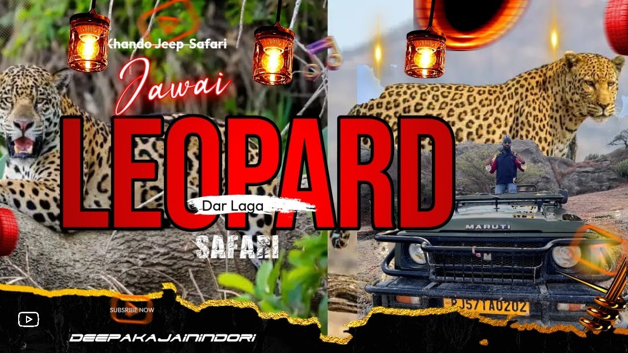 Welcome to Jawai ! Leopard Safari ! Khoob Enjoy Gaya ! # Ep 12