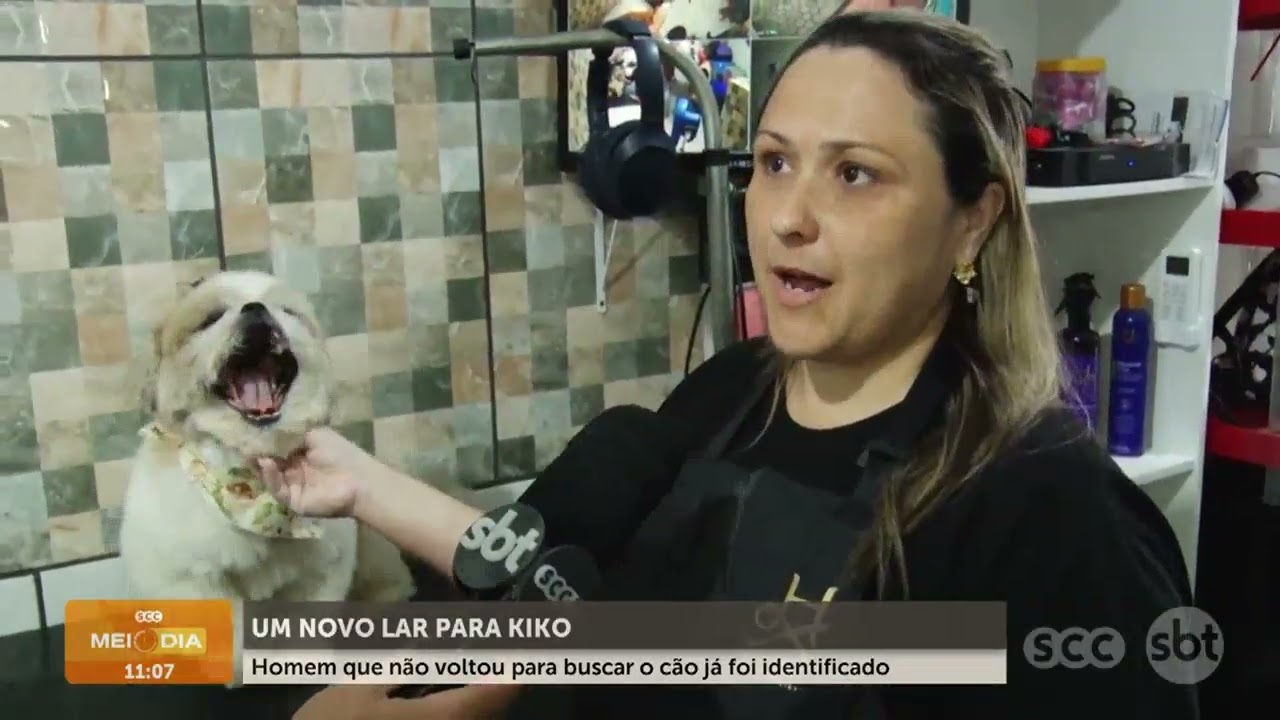 Homem que não voltou para buscar o cão já foi identificado