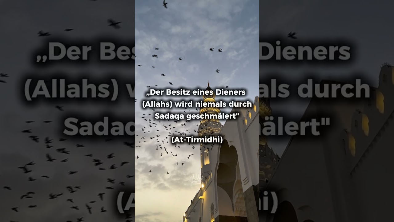 Der Prophet ﷺ sagte... 
