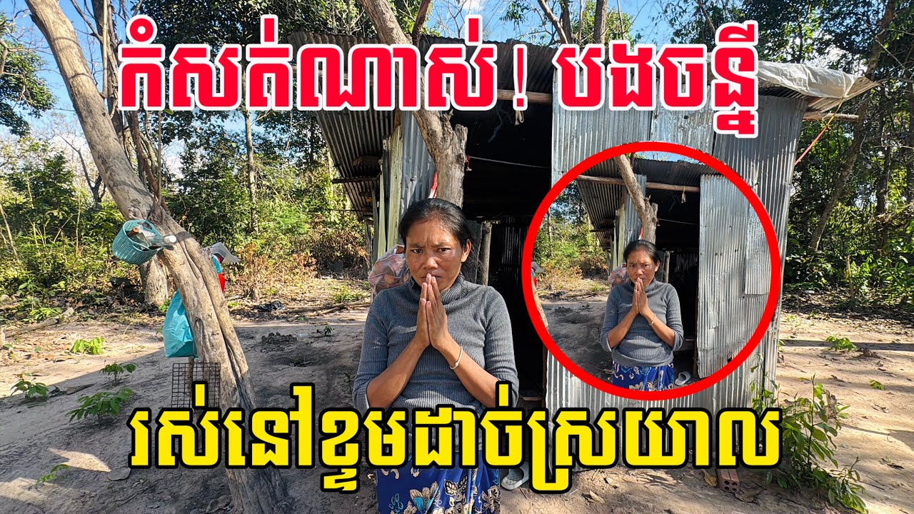 ជីវិតកំសត់បងចន្នី រស់នៅខ្ទមដាច់ស្រយាល រំពឹងតែប្ដីដើរជីកដំឡូងចិញ្ចឹមជីវិត