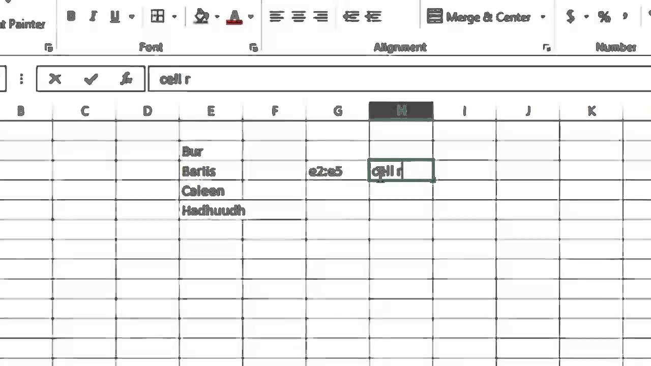 Lesson 07 Cell Basic - Microsoft Excel 2013 - Sahalsoftware - Afsoomaali
