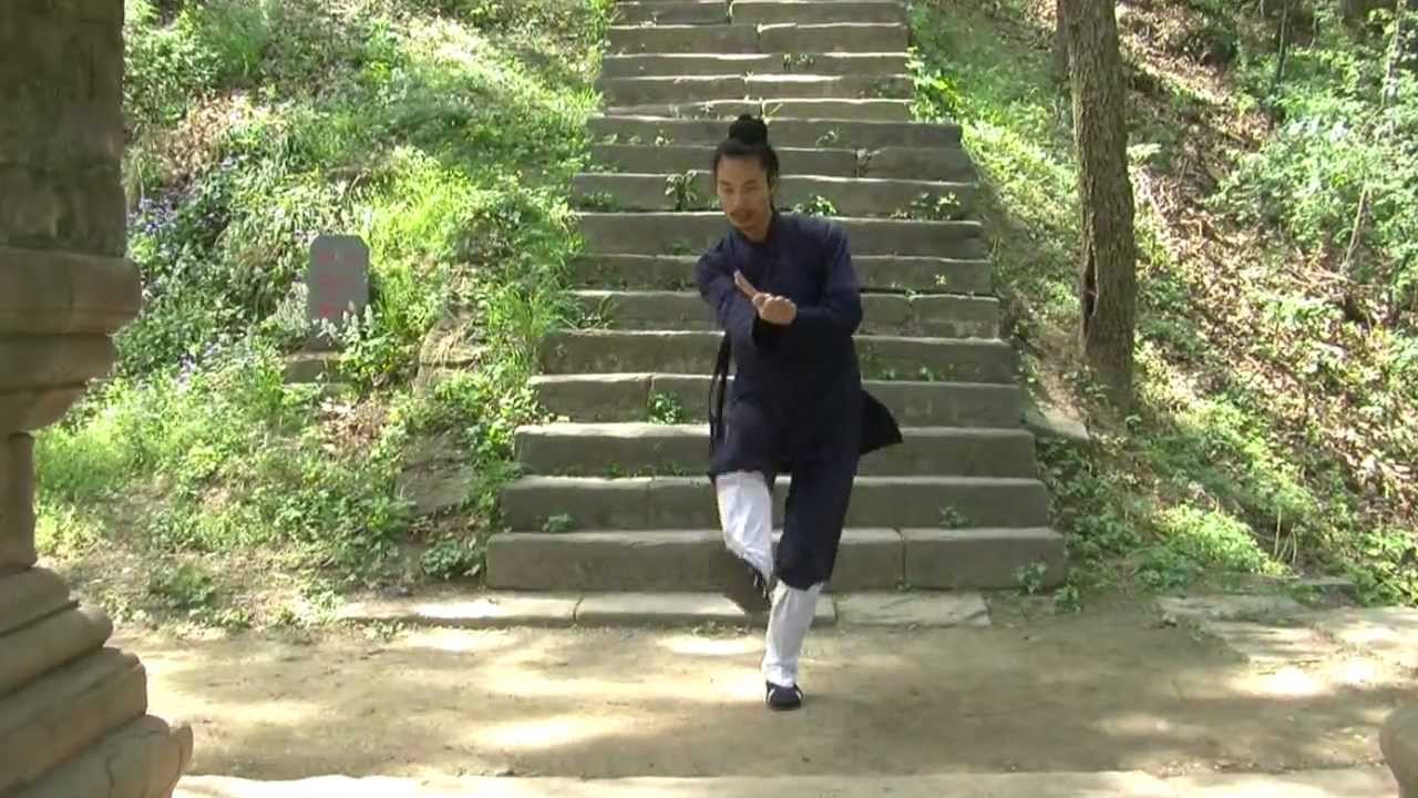 Wudang Taming Tiger Form DVD