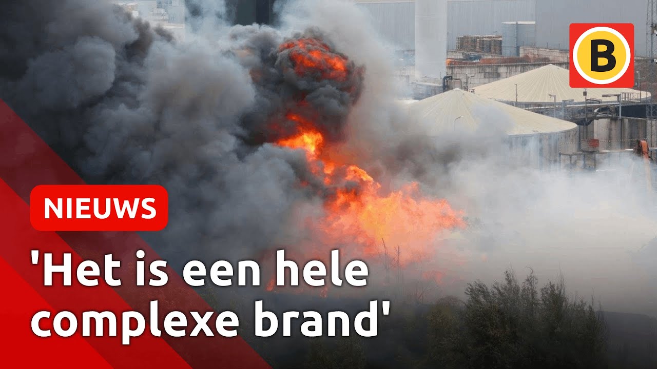 Grote brand bij schrootbedrijf AVI | Omroep Brabant