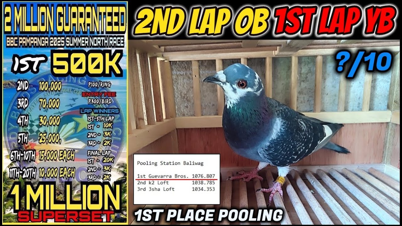 2 MILLION ANG PREMYO ,1ST LAP DERBY YB & 2ND LAP DERBY OB ARRIVALS