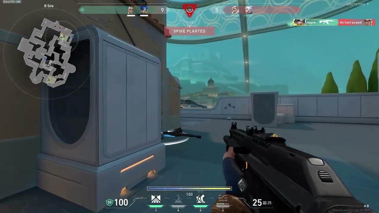 Ace.mp4