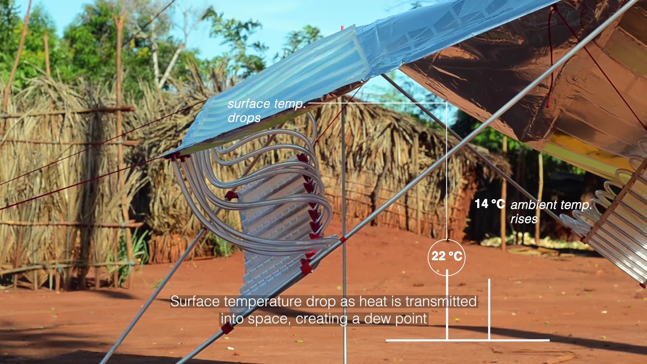 AEE, TANZANIA: DEW COLLECTOR