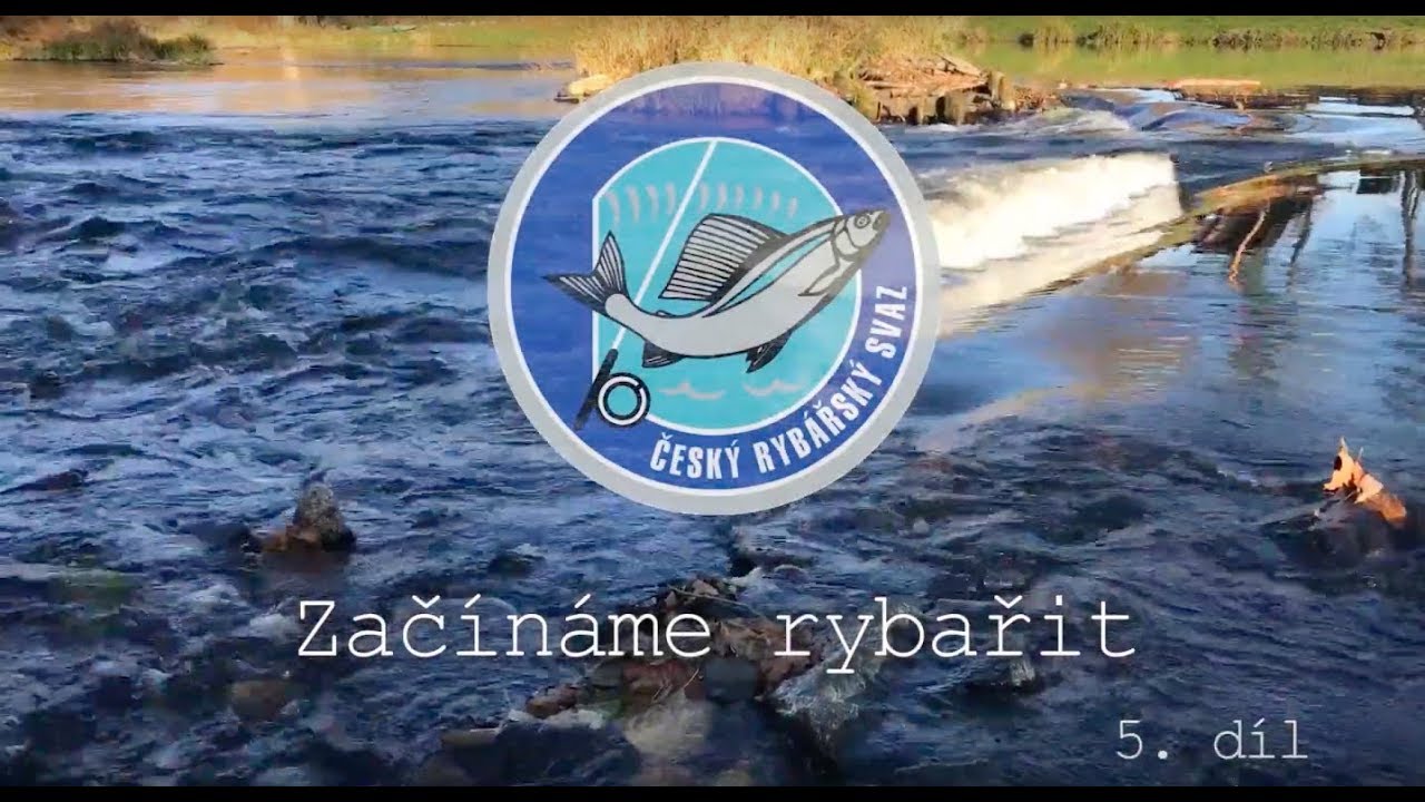 Začínáme rybařit 5. díl - Podmínky pro ponechání ryb