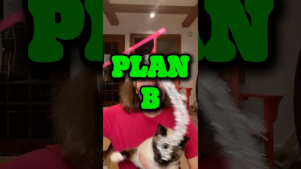 Plan B | Paula Poundstone