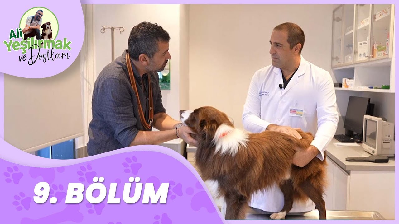 Ali Yeşilırmak ve Dostları 9. Bölüm