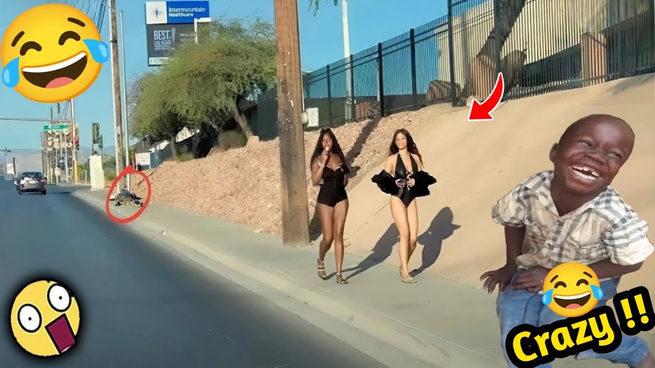 Crazy Funniest Videos Ever In The World!   (eps 222) | Try Not To Laugh Challenge