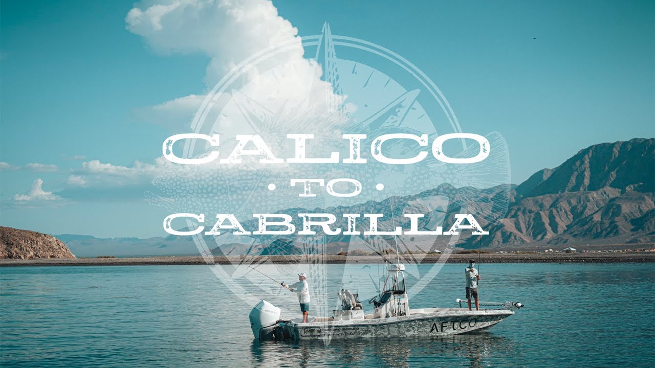 Calico to Cabrilla | A BDOutdoors Feature Film
