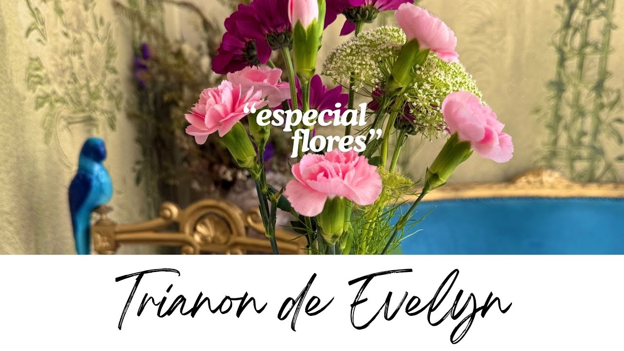 Flores en casa!! amenicemos nuestro hogar