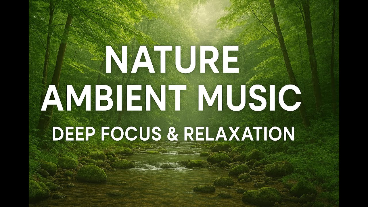Nature Ambient Music 🌿 Relaxation | Calm Forest Sounds for Study, Work & Meditation (1 Hour)