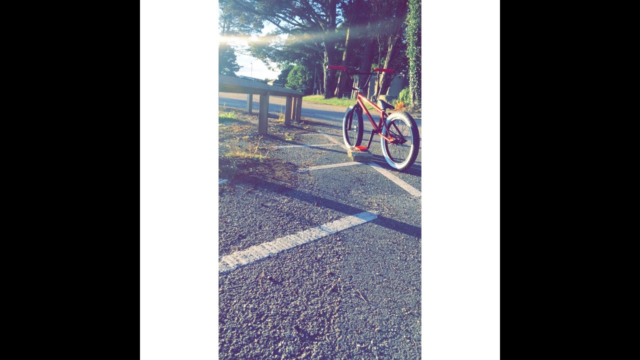bmx check
