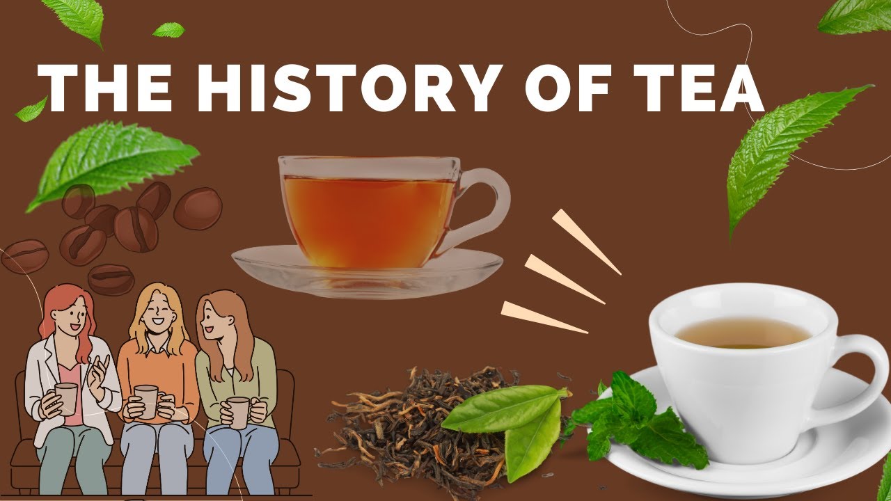 The History of Tea || History of Cuisine ||
