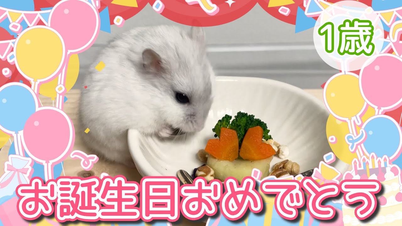 ばにたん、1歳のお誕生日おめでとう！もひもひ動画です