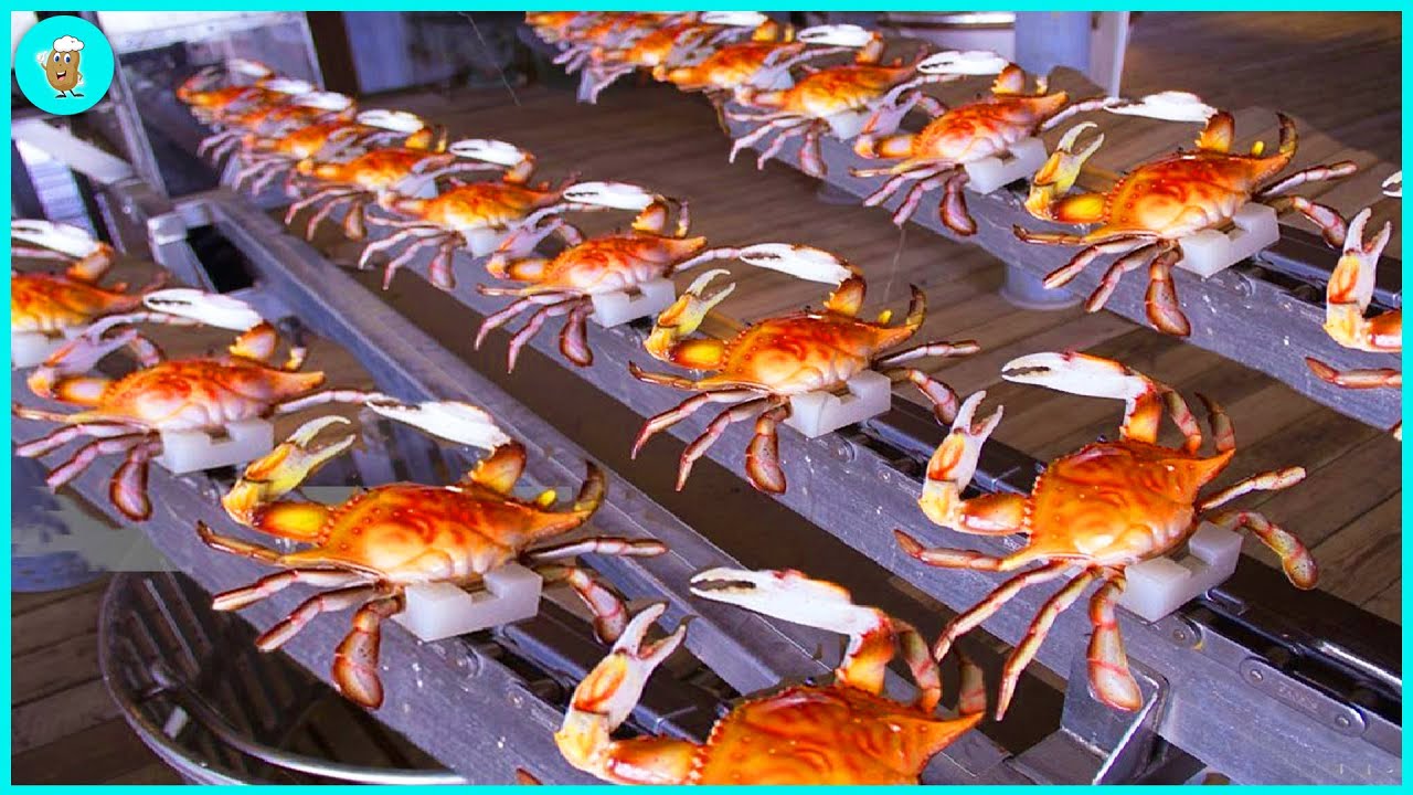 Harvesting Crab - Crab Meat Processing Line That Are At Another Level