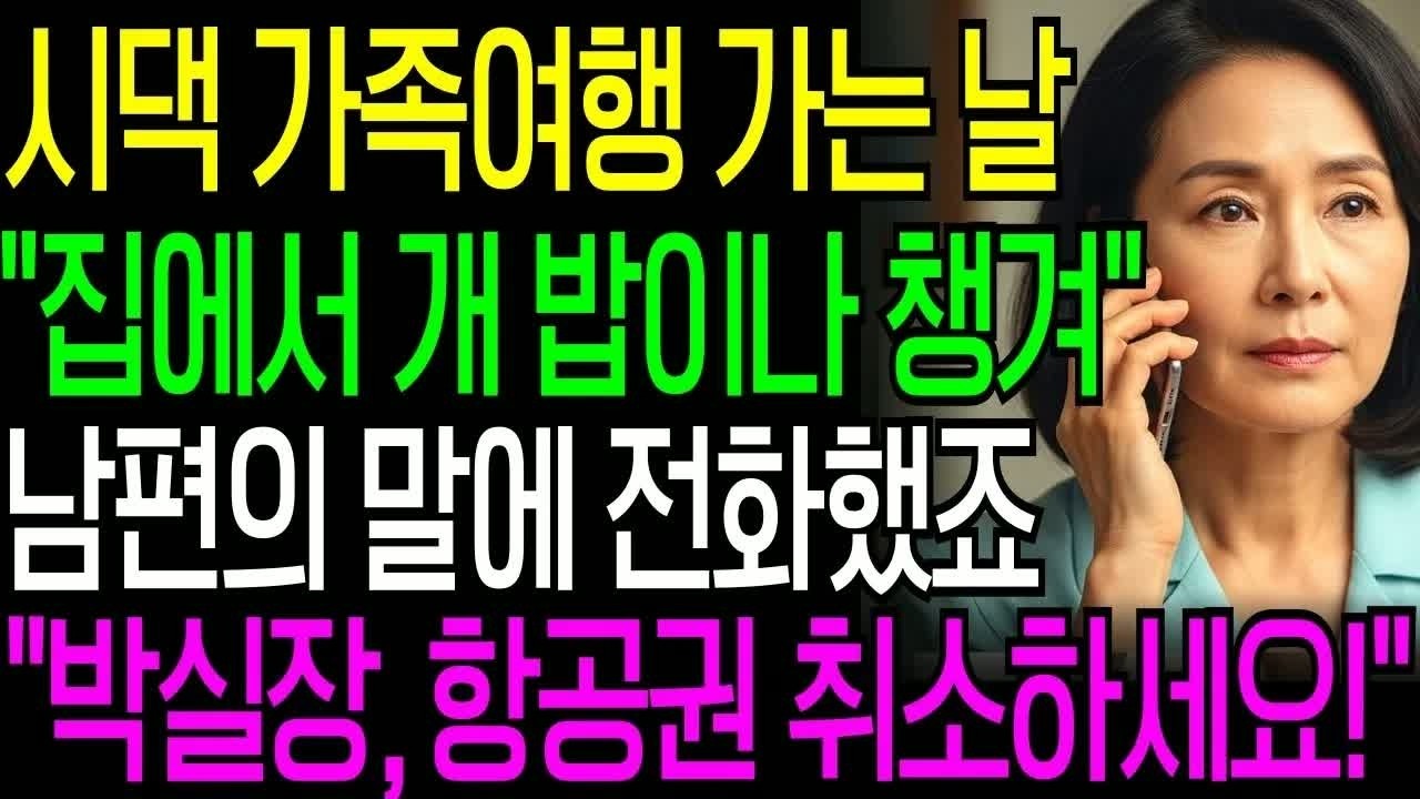 시댁에 억지로 끌려가 살던 며느리, 갑자기 떠나버린 뒤 걸려온 전화 한 통에 집안 전체가 뒤집혔다