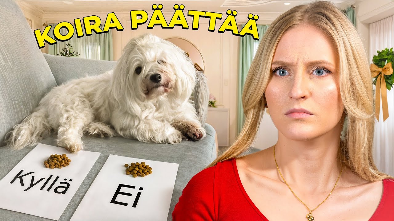 KOIRA päättää MUN PÄIVÄN