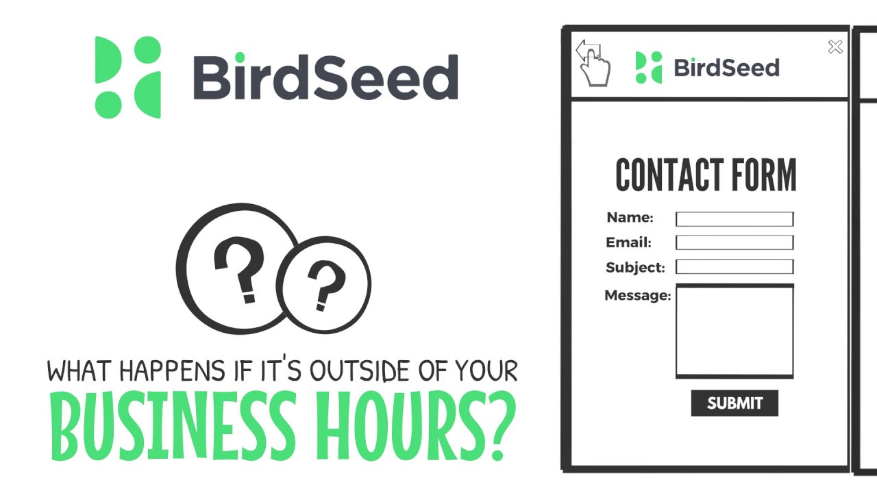 Overview of BirdSeed - The Ultimate All In One Website Engagement Platform