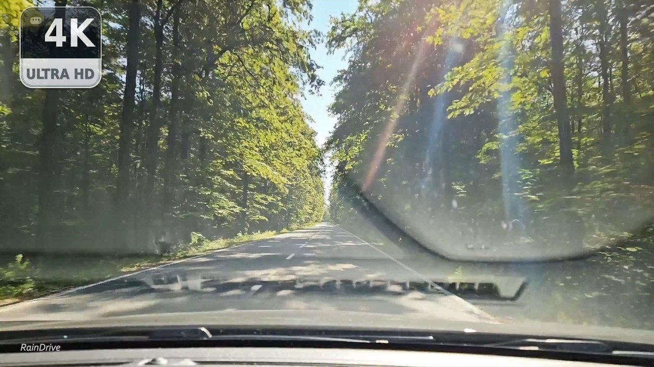 Endless Forest Drive – Cabin POV Road Ambience for Focus & Relaxation (2 Hours 4K)