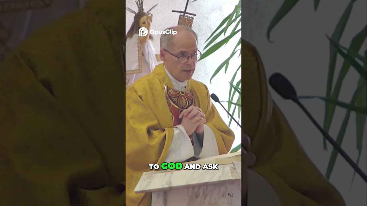 Confession  Mortal vs  Venial Sins Explained! #VenialSins #MortalSins  #confession