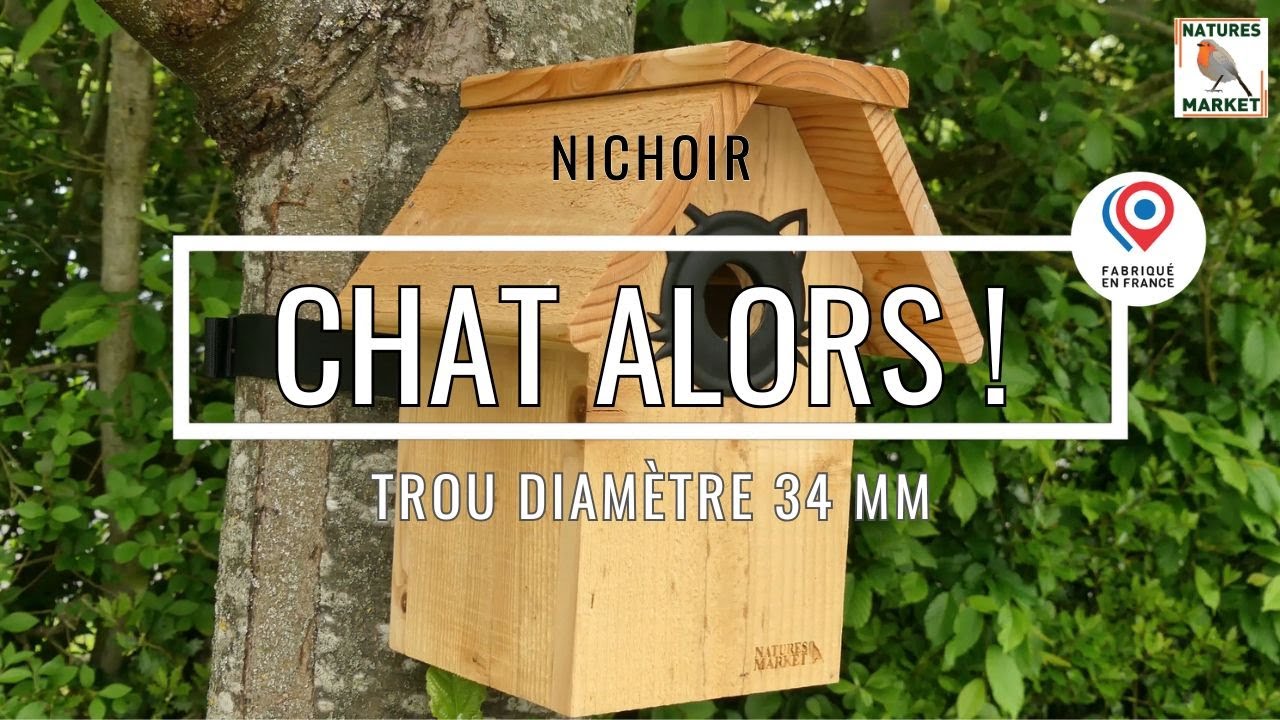 Nichoir 34mm fabriqué en France : CHAT ALORS !  Pour mésanges sittelles et moineaux