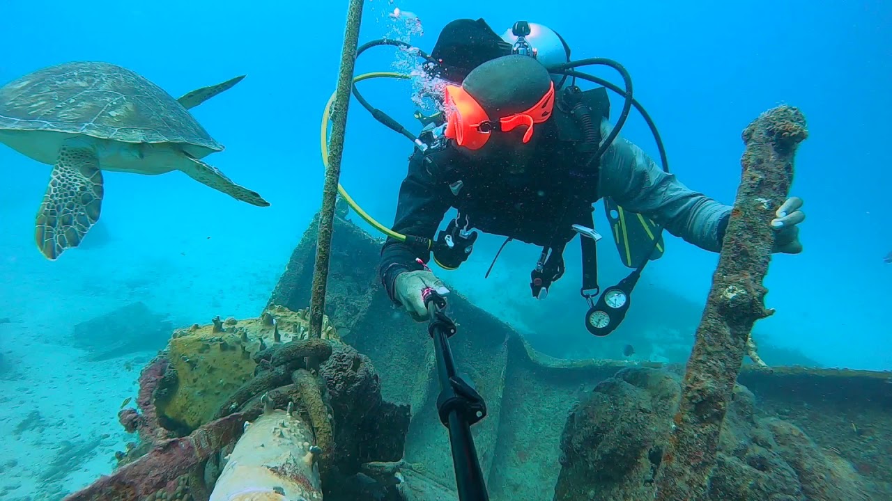 Soooo Many Turtles!!! Diving in Sint Maarten and finding a rare Logger Head turtle
