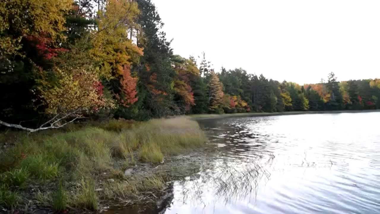 Up North Video Slideshow of Fall Colors