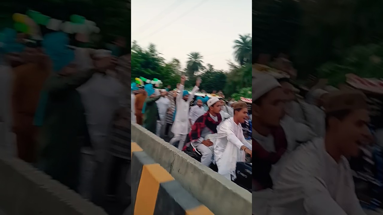 Eid Milad Un Nabi Juloos Bareilly Sharif Bidhauliya #juloos2023 #eidmiladunnabi #bareillysharif