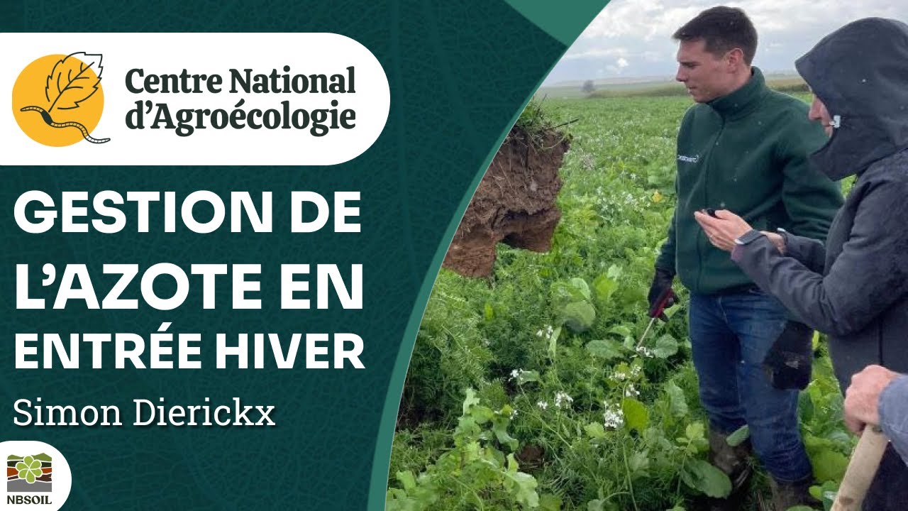 Couverts végétaux et reliquats azotées en entrée hiver, Simon Dierickx - CNA