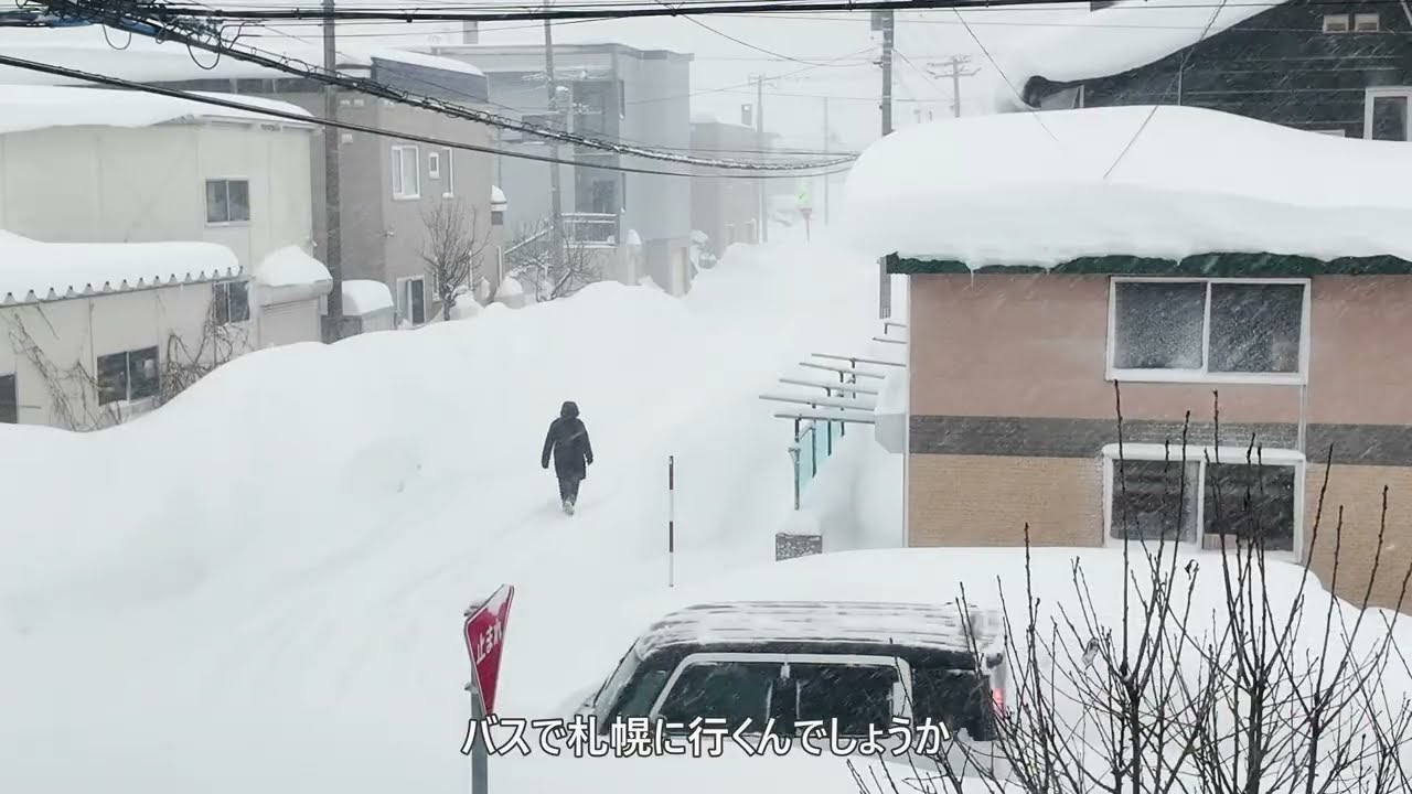ただただ雪が降り続けるだけ…　観察窓映像20分＋　2026年1月31日
