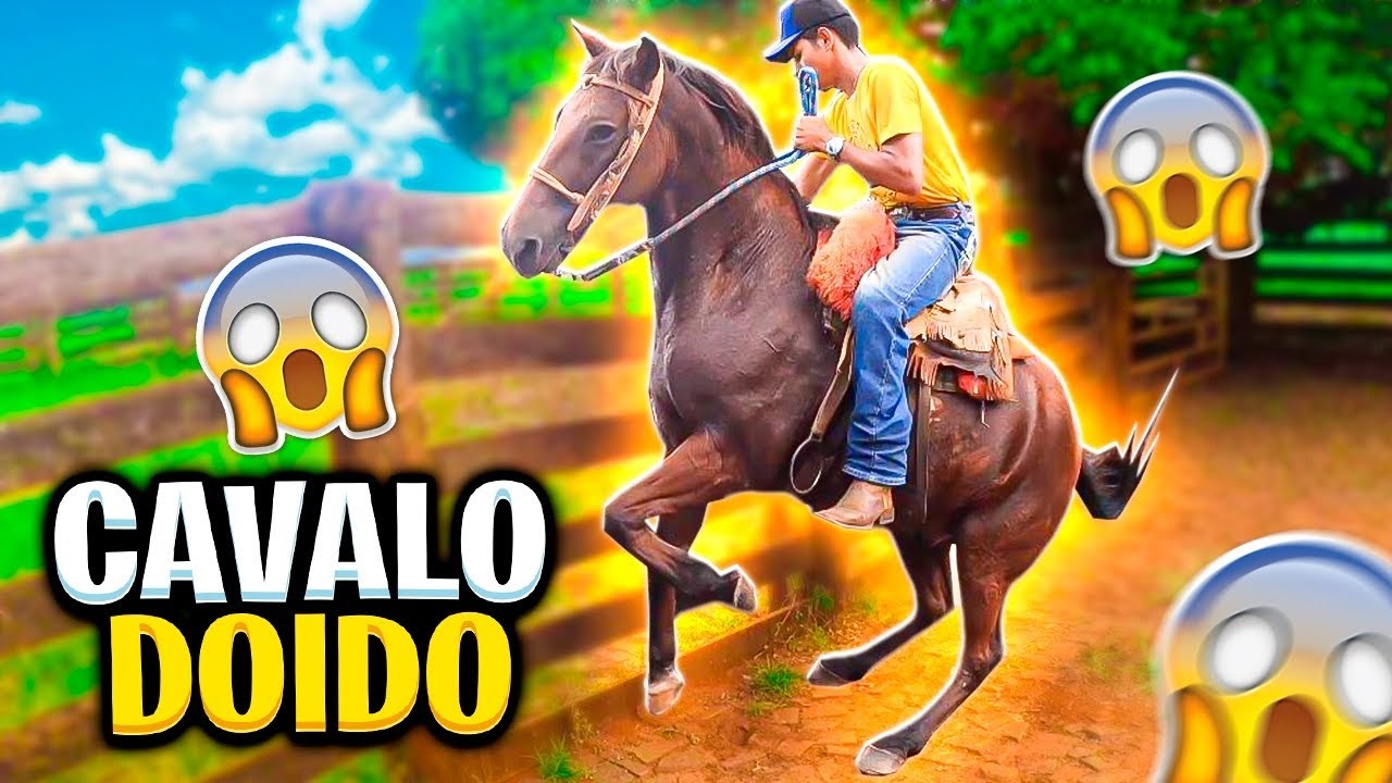 FIQUEI COM MEDO, MAIS MUNTEI NO PALENTAR