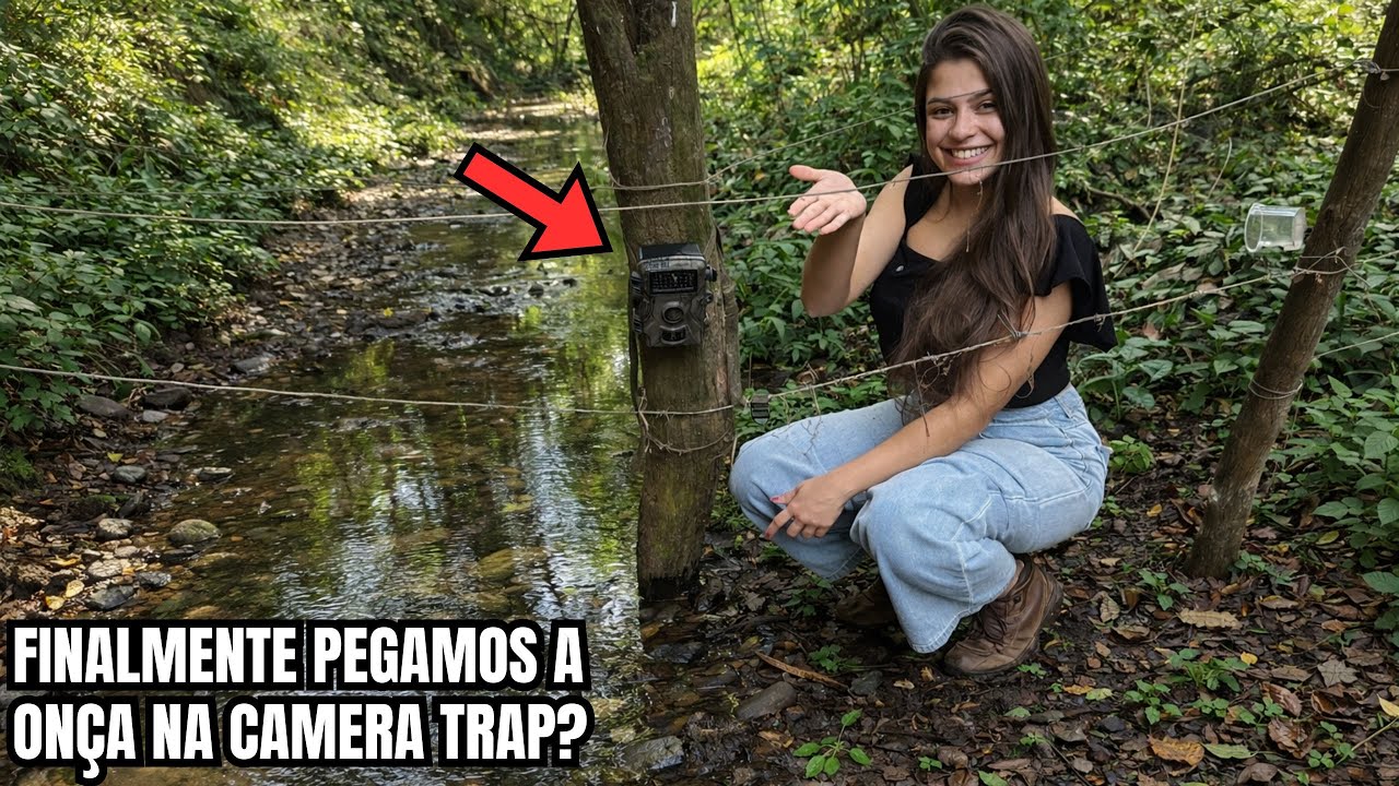 Colocamos câmera trap 15 dias na mata e levamos um susto com as imagens
