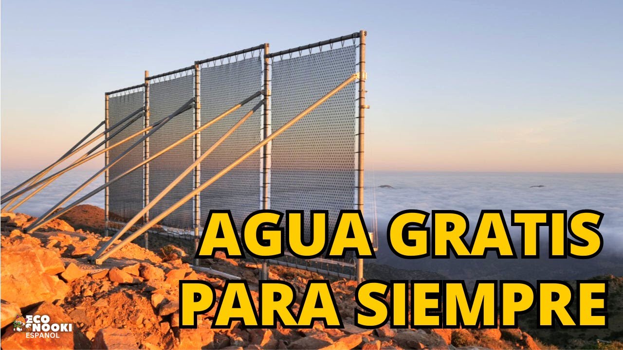 Atrape 10,000 litros de agua diariamente usando esta técnica | Fog Nets