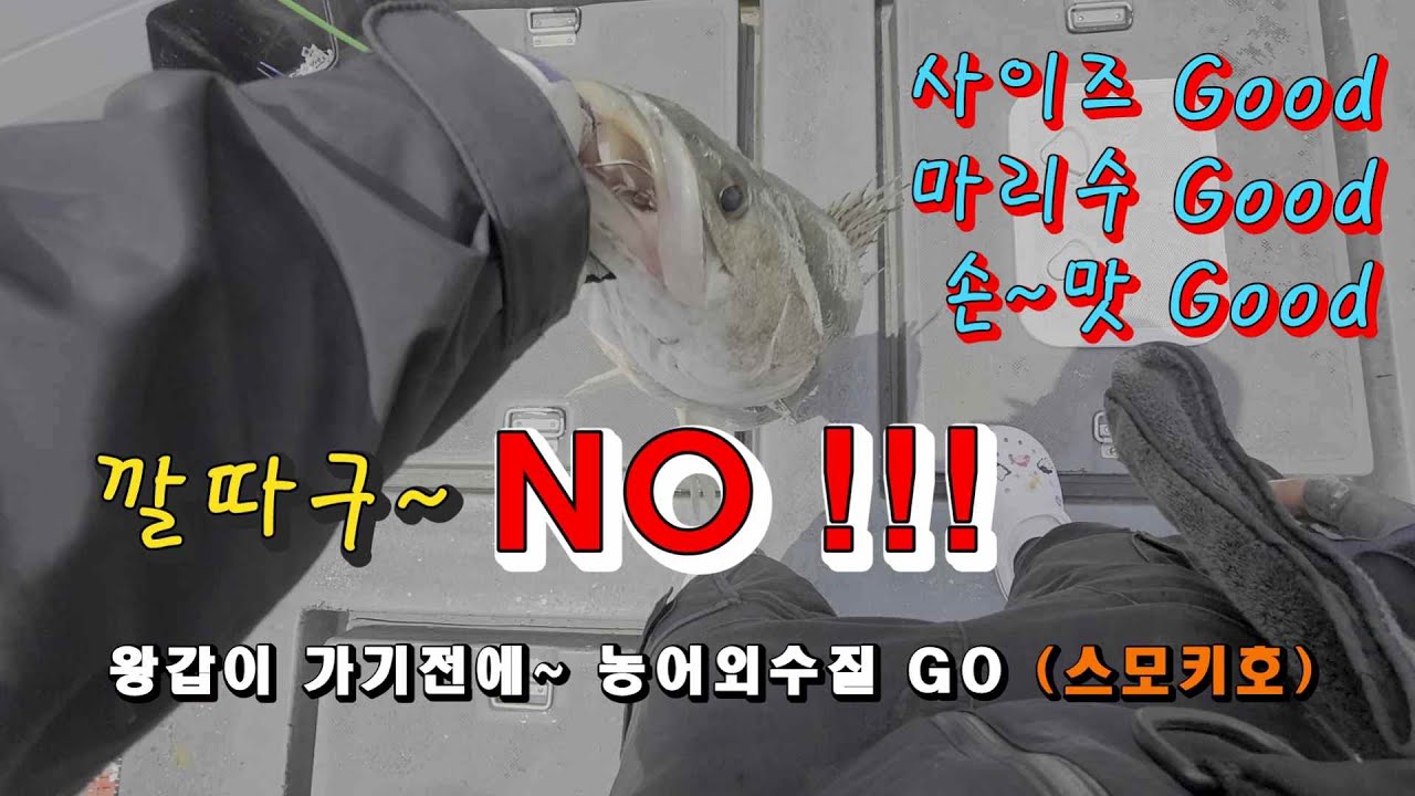 25.06.07 스모키호 - 왕갑이 가기전에~ 농어외수질 GO