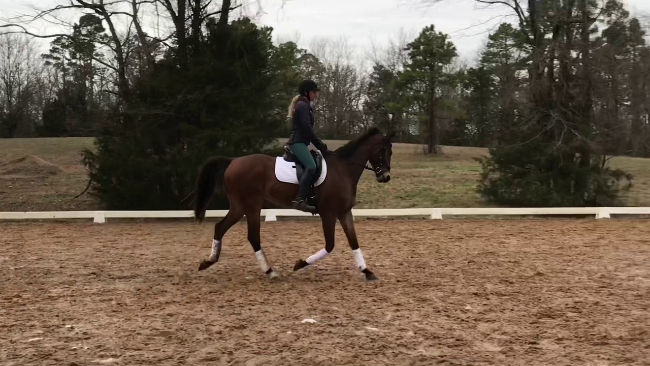 How to Improve Throughness in the Trot