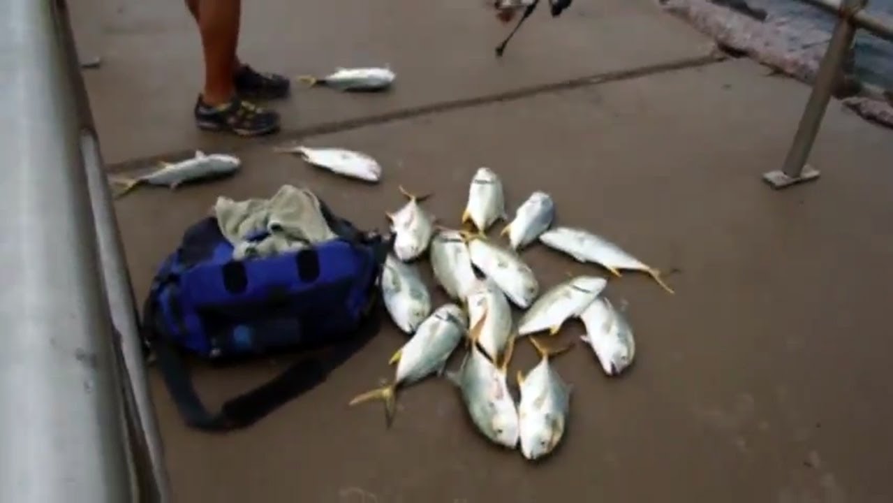 Fishing Packery Channel