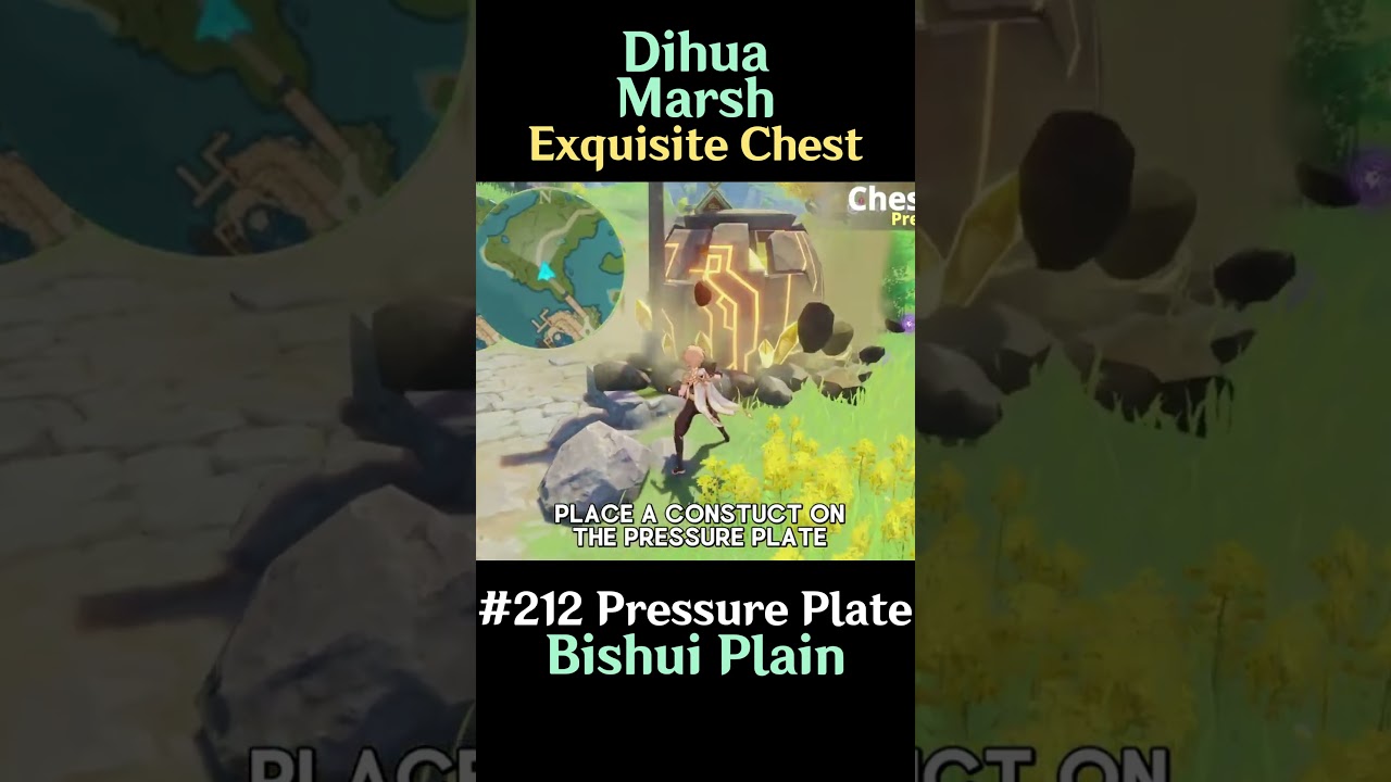 Dihua Marsh Chest 