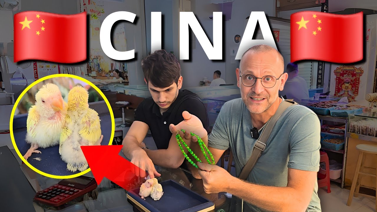 Compro PIETRE PREZIOSE in CINA 🇨🇳💎 Vlog viaggio d'acquisti | Lineagem / Gemme / Pietre Preziose