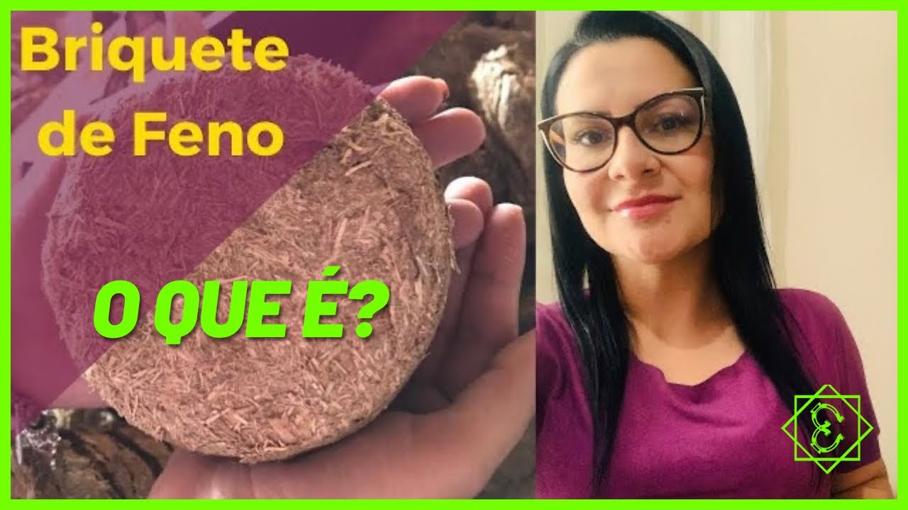 Briquete de Feno | Uma alternativa de trato para o gado