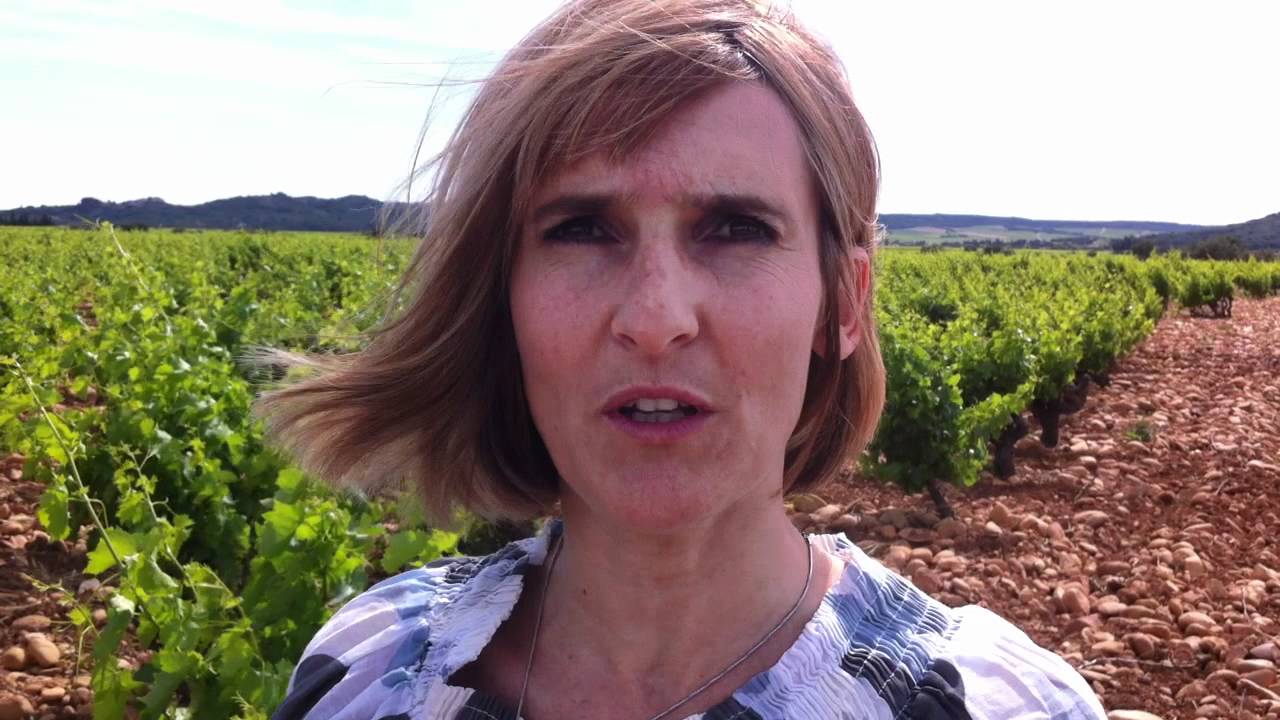 Galet terroir in Tavel