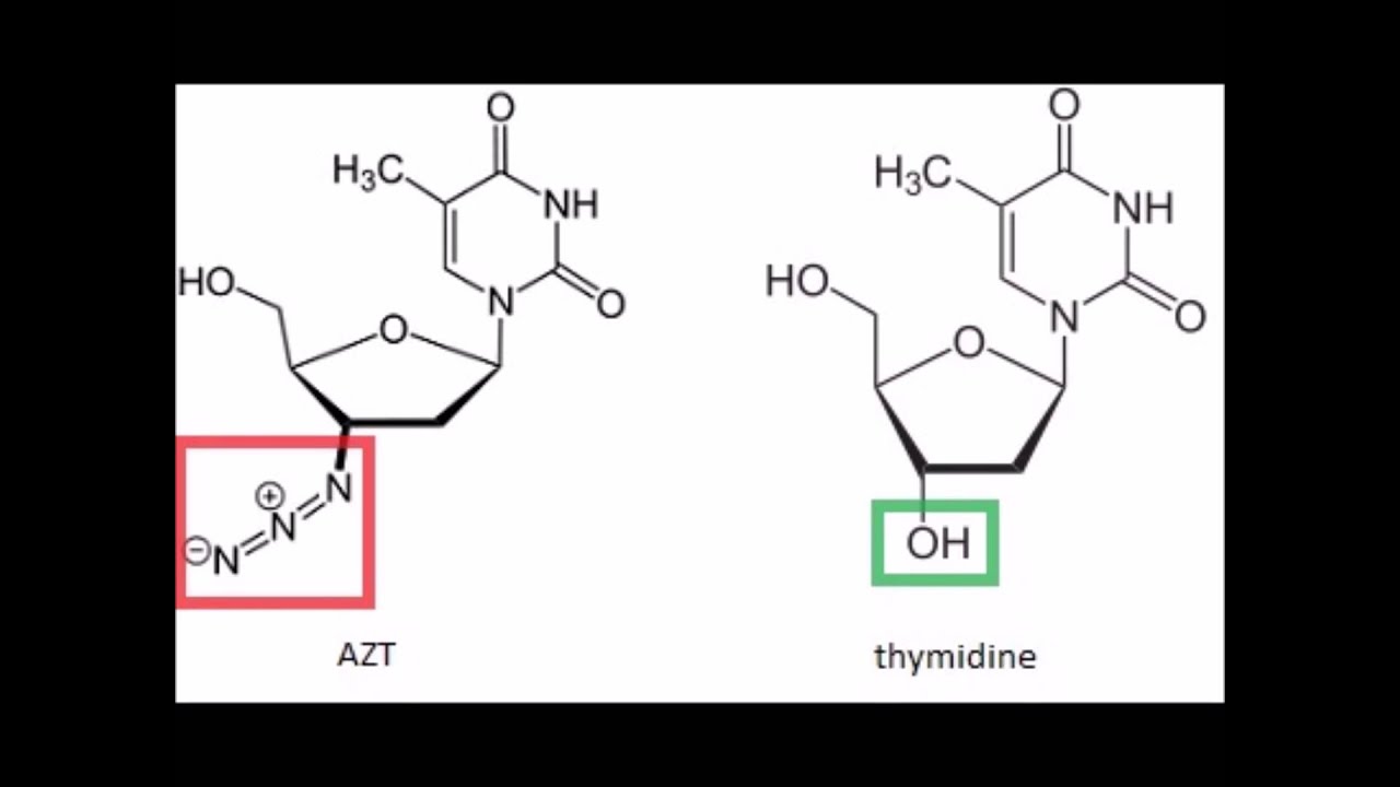 AZT: the story of HIV's first drug