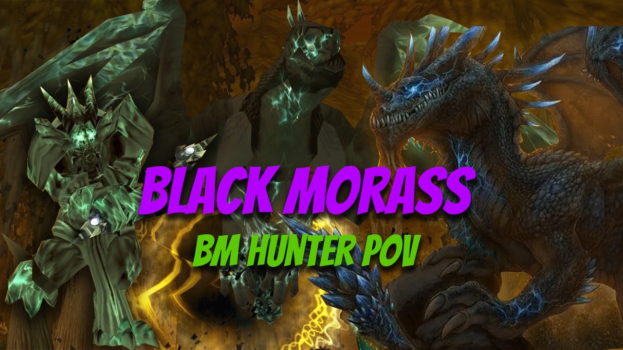 Black Morass Dungeon Run (BM Hunter POV) WOW TBC Classic